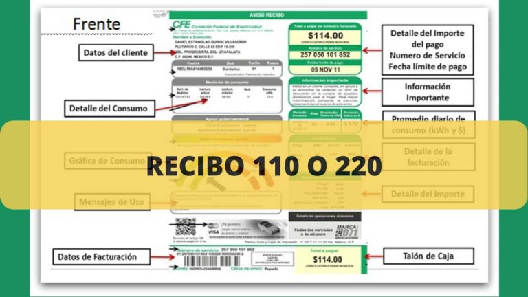 RECIBO 110 O 220