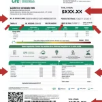 Recibo CFE 2024